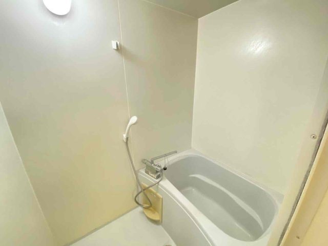 レオパレスラダックＢの浴室