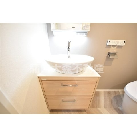 CASA PIAZZAカーサピアッツァ大森西の洗面所