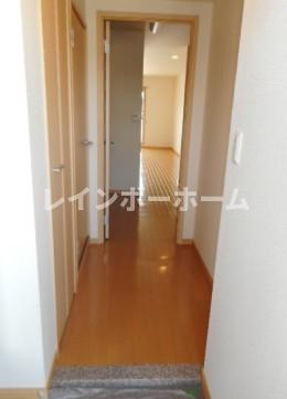 仲介手数料（賃料の1.10ヵ月）の50％OFF対象物件！の玄関|落ち着いた玄関です