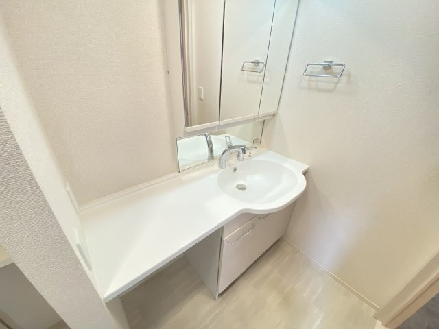 ソフィアコート鳥飼B棟の洗面所