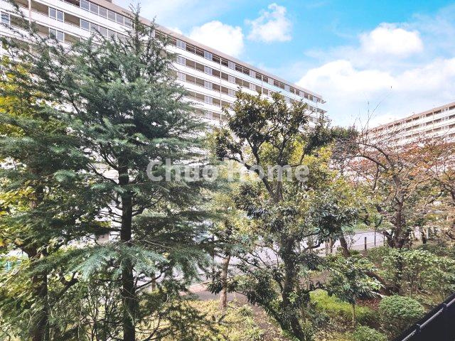 ジュネシオン平井の展望|眺望