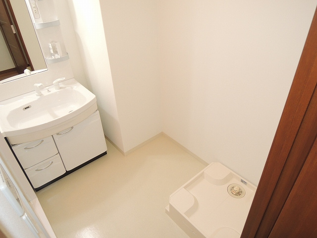 プルミエール南本町の洗面所