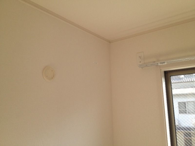 スプリング・ソナタのその他