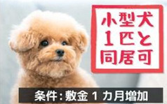 【その他】 | アートコーポ東太子