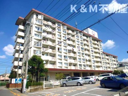 ハイム柏洋の外観|外観は落ち着いています