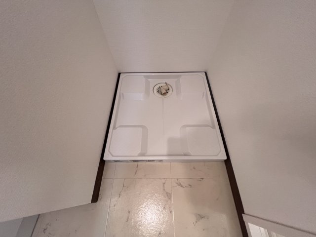 シエルオカモトのその他