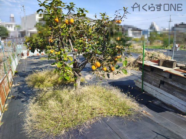 【外観】 | 姫路市伊伝居／売土地