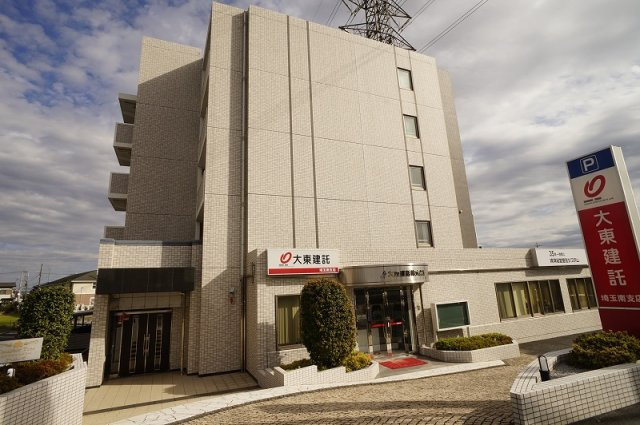 カンファ－　トゥリー