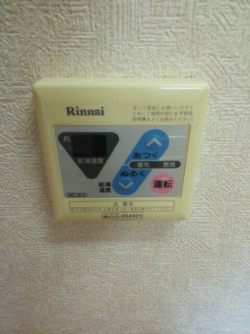 フエンテ・セレソのその他