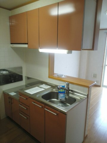 フエンテ・セレソのキッチン