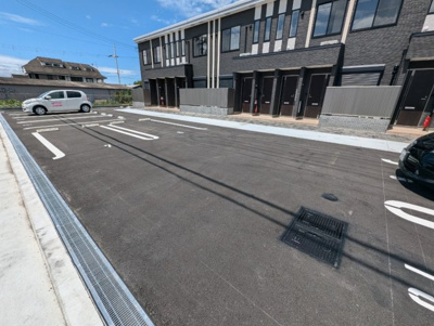  | ストレリチア