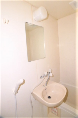 ロイヤルビレッジの洗面所