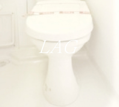 【トイレ】 | ゴールドレジデンシア大塚 | トイレです。