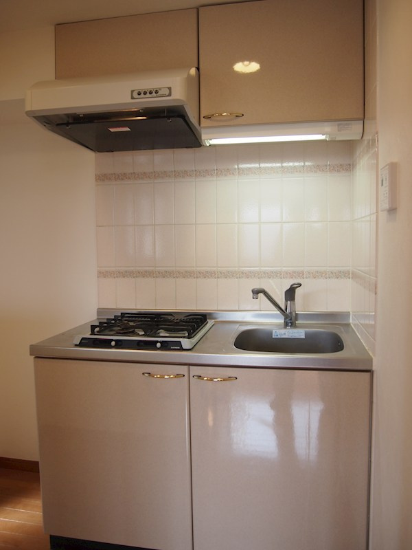 ルーブル学芸大学五番館　角部屋　分譲　ウォークインクローゼットのキッチン