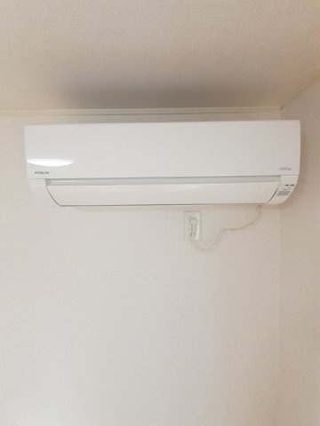 ボニート・ブリッサのその他