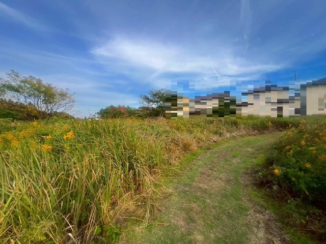 米子市富益町売土地の外観|通り道は草が刈ってあります。