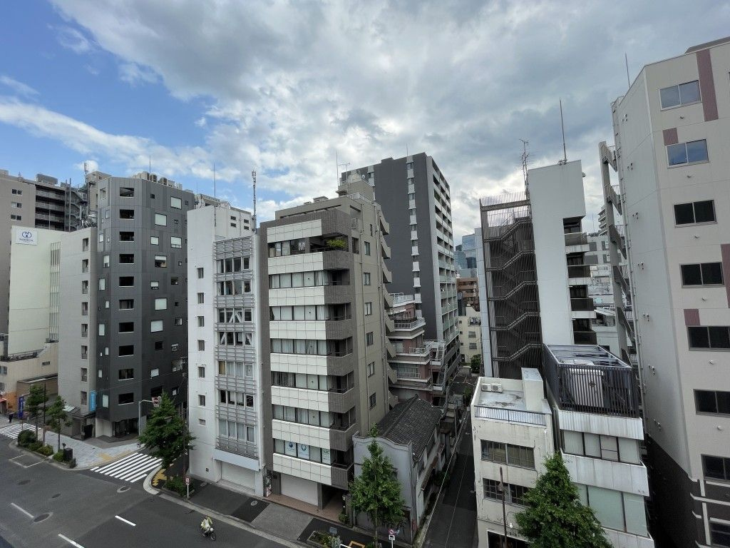 プラムハウス日本橋の展望