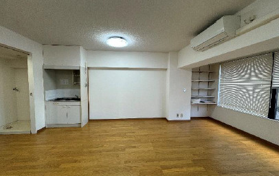 セントラル東銀座の居間・リビング