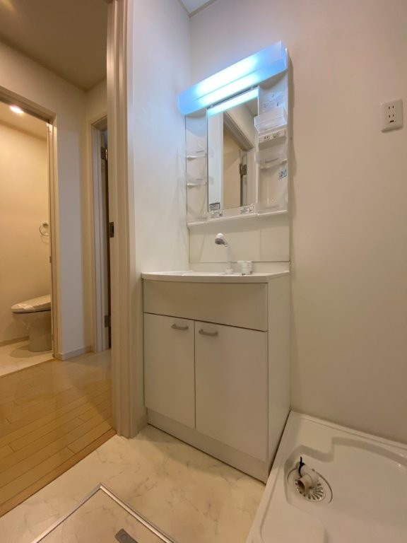 ザ・グランメゾン盛岡の独立洗面台