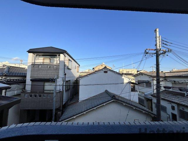 ウイングの展望