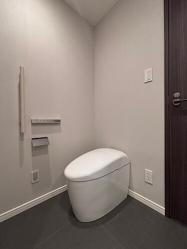 麻布台ヒルズレジデンスＢのトイレ|トイレもきれいです