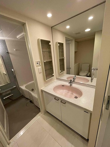 クロスレジデンス白金高輪の洗面所|洗面所　※2022年4月撮影