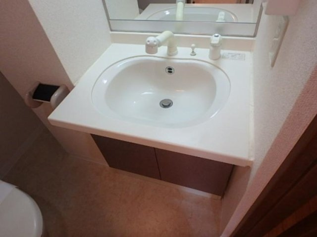 シンシア六本木の洗面所|洗面所です