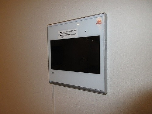 ＨＡＲＵＭＩ　ＦＬＡＧ　ＳＵＮ　ＶＩＬＬＡＧＥ　Ｔ棟のその他|インターフォン