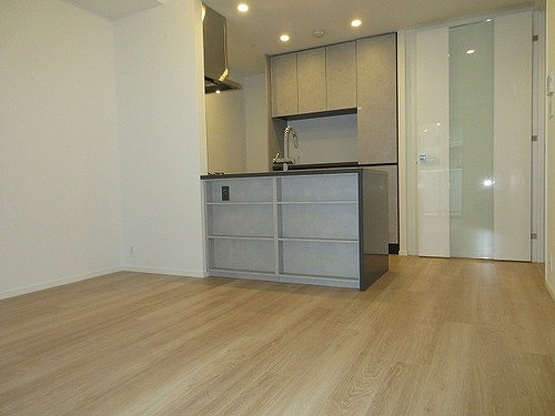 ＨＡＲＵＭＩ　ＦＬＡＧ　ＳＵＮ　ＶＩＬＬＡＧＥ　Ｔ棟の居間・リビング|リビング