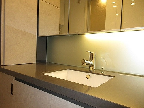 ＨＡＲＵＭＩ　ＦＬＡＧ　ＳＵＮ　ＶＩＬＬＡＧＥ　Ｔ棟の洗面所|洗面カウンター