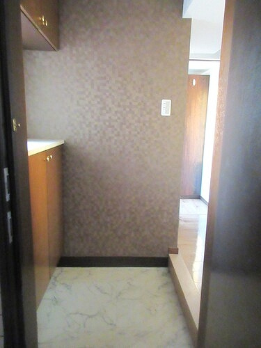 ライオンズガーデン東大島の玄関|玄関　※内装前