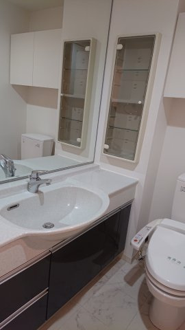 プライムアーバン豊洲の独立洗面台|※参考写真