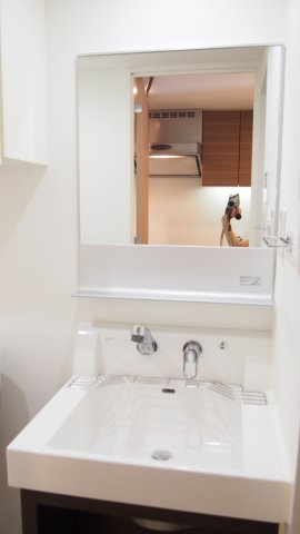 プラウドフラット白金高輪の洗面所|※参考写真