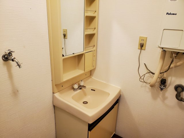 アネックス宝塚の洗面所