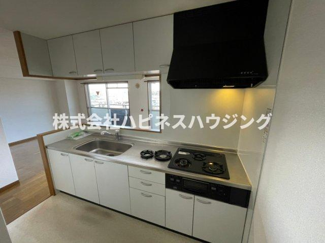 INSURANCE(インシュランス)BLDG.(ビルディング)ⅩⅢ(サーティーン)河原塚のキッチン