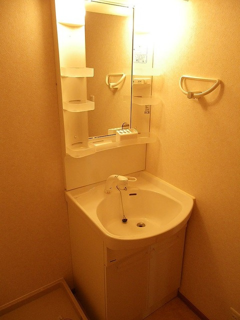 オークヒルＮ棟の洗面所|シャワードレッサー