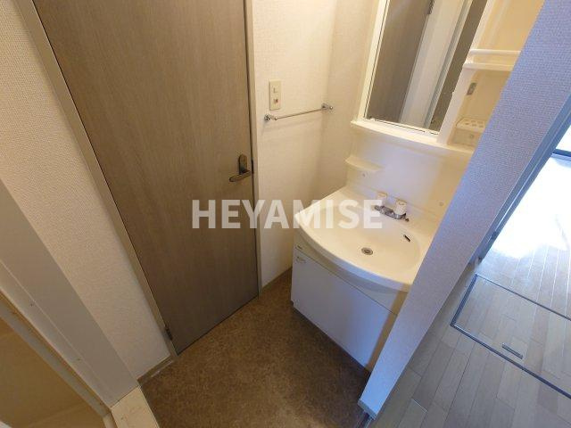 グレープハウス Ⅱの洗面所