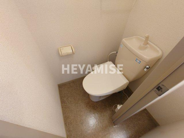 グレープハウス Ⅱのトイレ