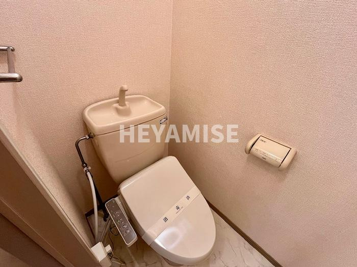 グレープハウス Ⅰのトイレ