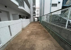 セントポーリアのその他