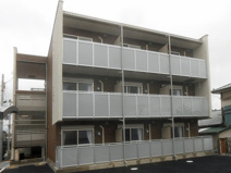 ミランダ渚　九つ星の画像