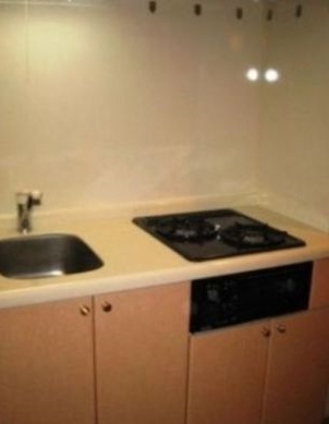 【キッチン】 | フォルトゥナ目白(ｆｏｒｔｕｎａ目白) | ２口システムガスキッチン★（同一仕様写真）