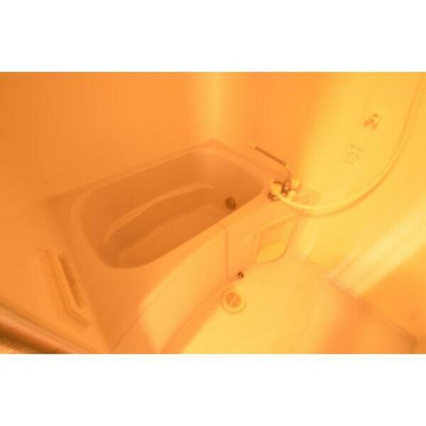 メゾンダジュール8番館の浴室