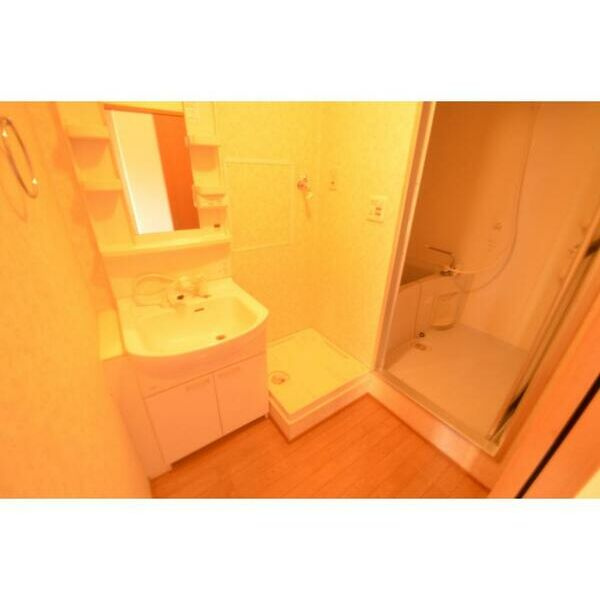 メゾンダジュール8番館の独立洗面台