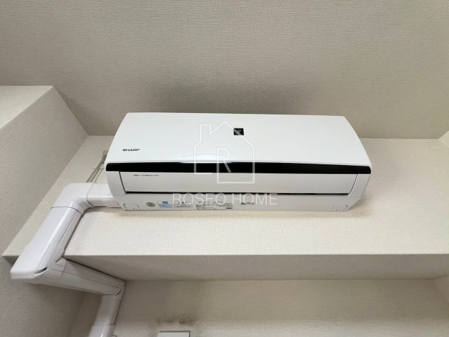 Gioia Soleのその他