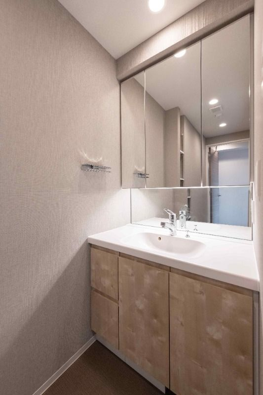 シーズンフラッツ柿の木坂の洗面所