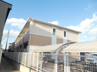 クローバーの画像