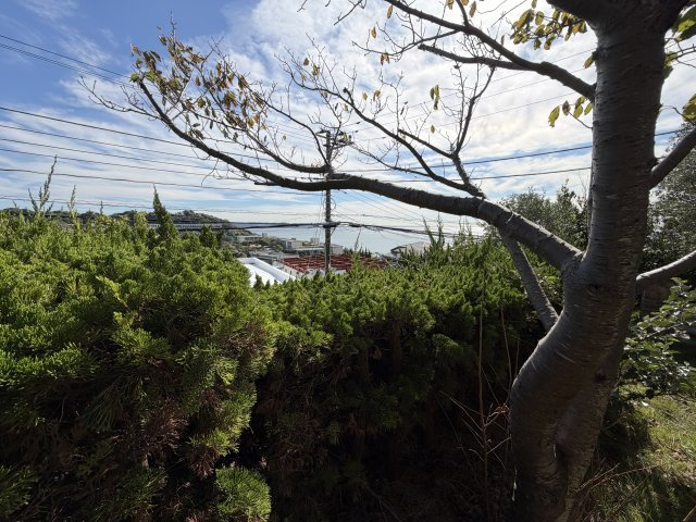 オーシャンビュー！目の前に海が広がる角地の絶景物件の展望