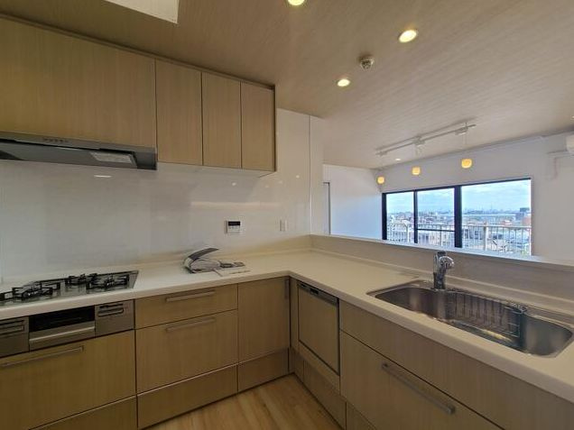 さいたま市南区根岸１丁目の賃貸マンションのキッチン