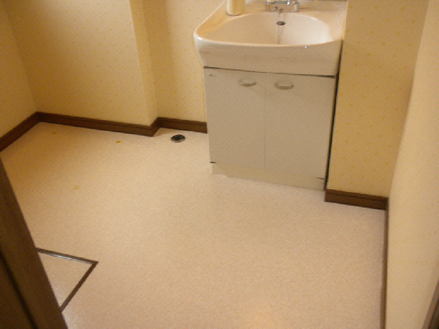 Ｆｕｊｉ（フジ）の洗面所